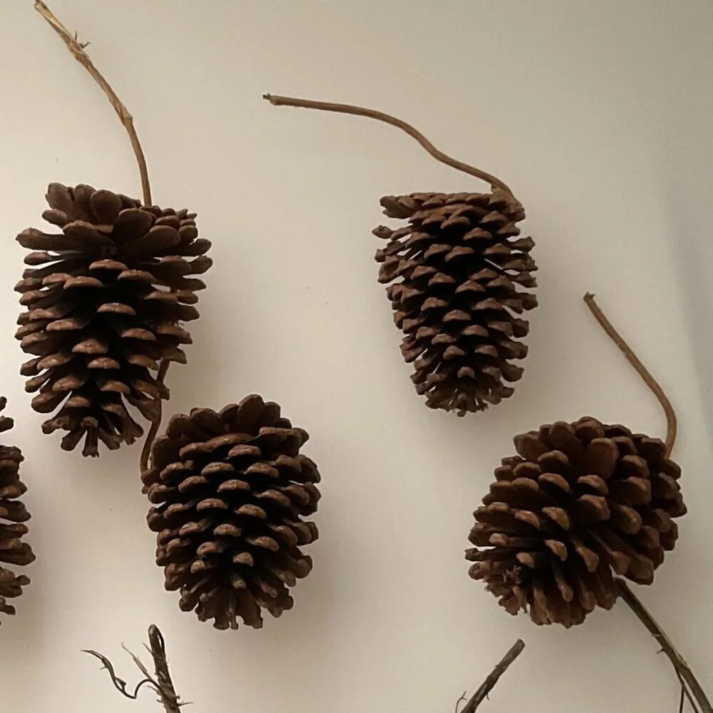 DIY PINE CONES AND CURLY TWIGS 13 COUNT